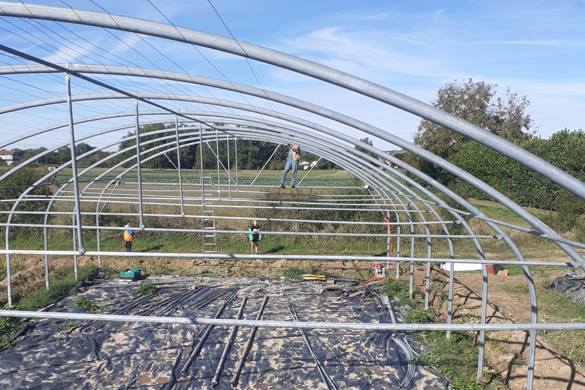 You are currently viewing Samedi 21 mars 2026 : Assemblées Générales de l&rsquo;association, de la SCIC et de la SCEA Terres Citoyennes Albigeoises !